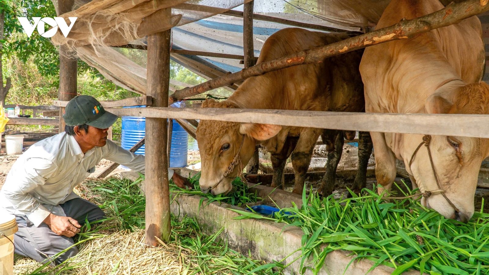 Cà Mau gặp khó trong Chương trình phát triển vùng đồng bào dân tộc thiểu số