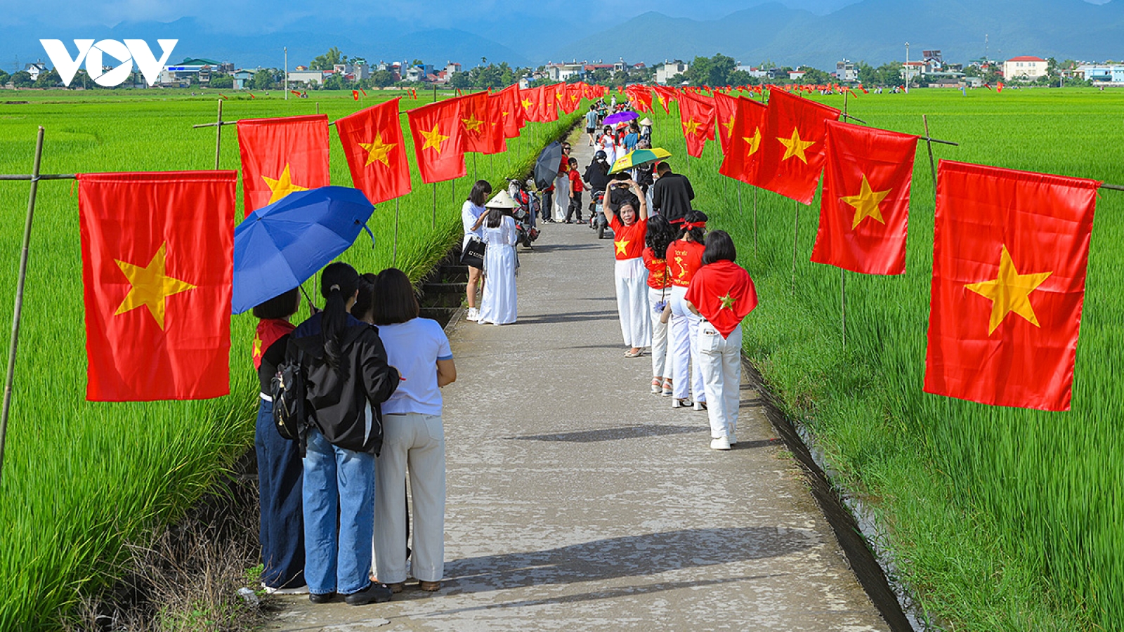 Rực rỡ “con đường cờ Tổ quốc” giữa cánh đồng Mường Thanh chào mừng Quốc khánh 2/9