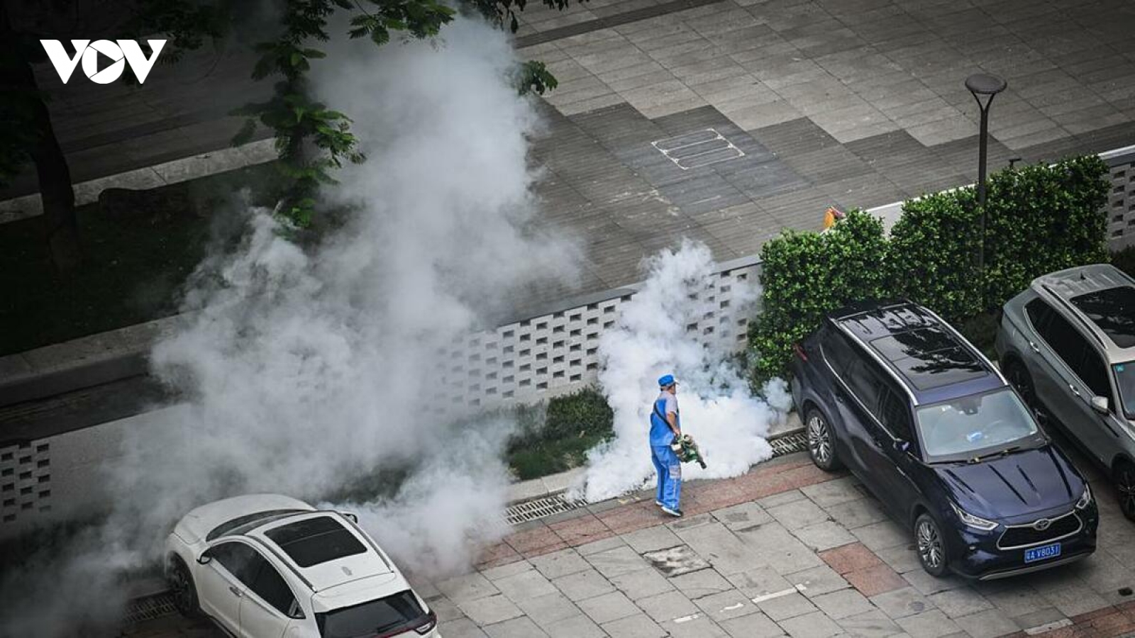 Bộ Y tế phát cảnh báo khẩn sau khi bệnh Chikungunya bùng phát mạnh ở Trung Quốc