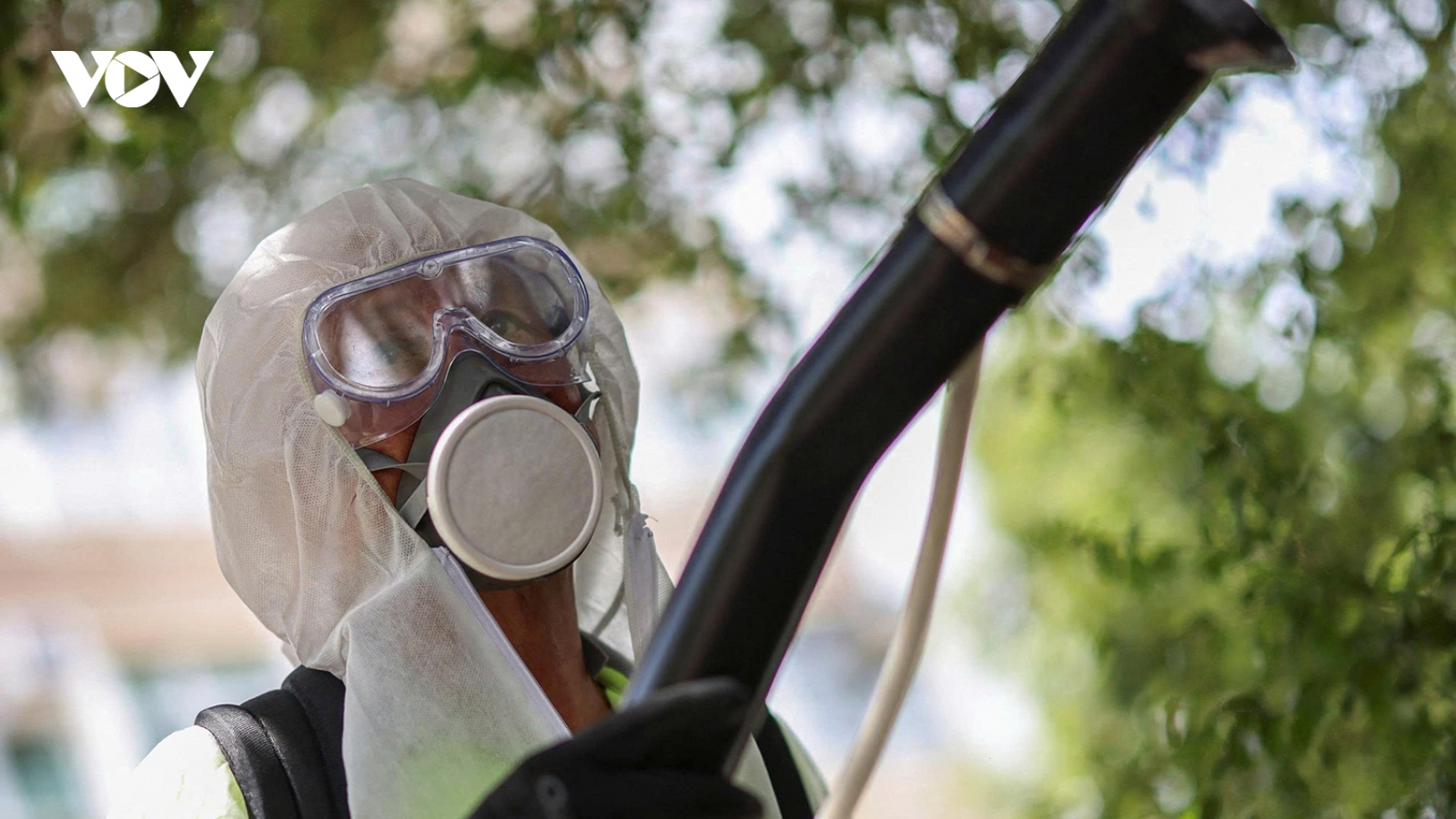 Việt Nam tồn tại nguy cơ bệnh Chikungunya xâm nhập
