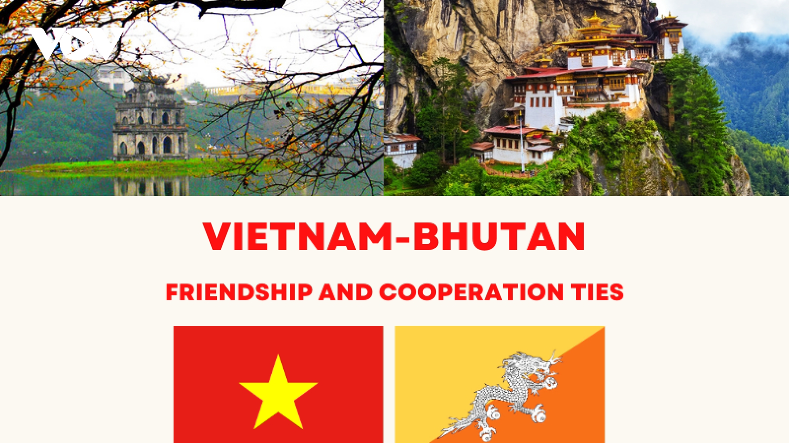 Vietnam-Bhutan friendship and co-operation ties in focus
