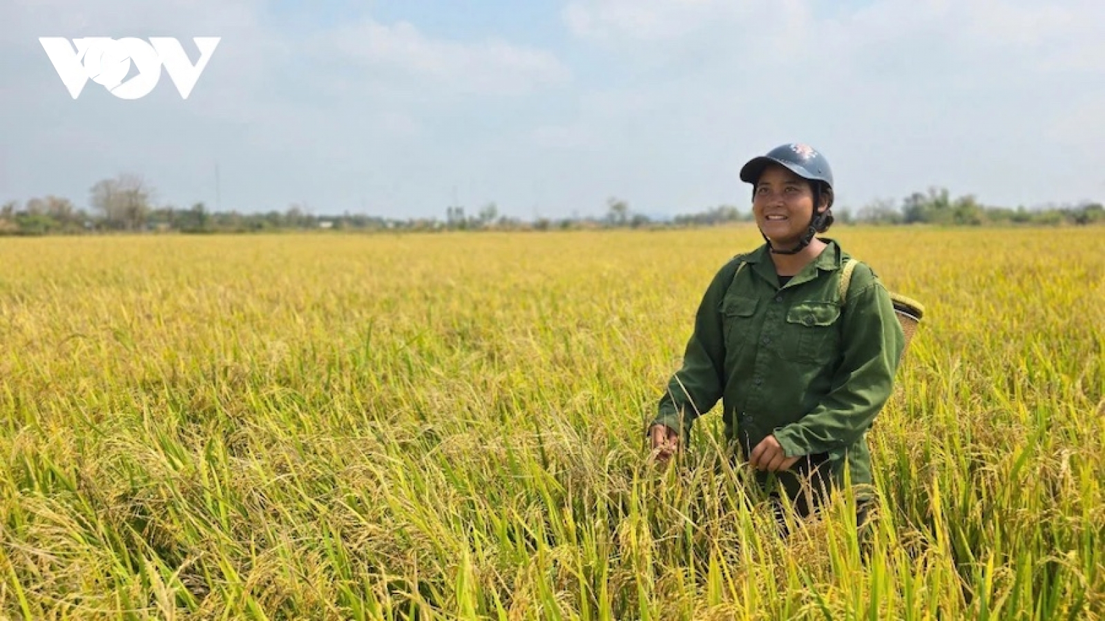 Đầu tư 209 tỷ đồng xây kênh nhánh Thủy lợi Ia Mơ, Gia Lai