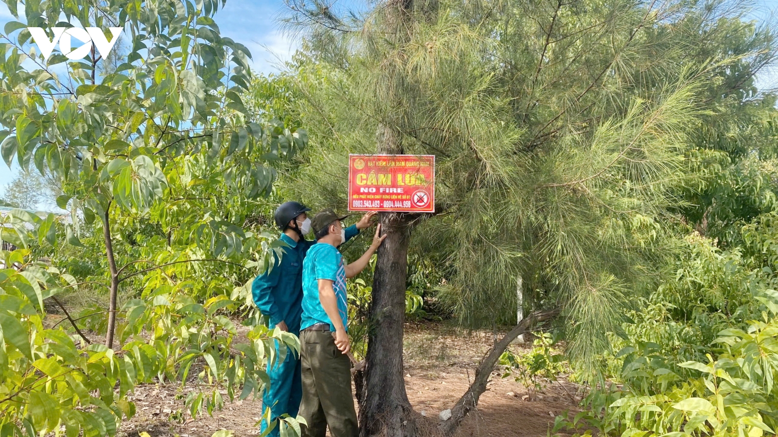 Đà Nẵng chủ động phòng chống cháy rừng cao điểm mùa nắng nóng