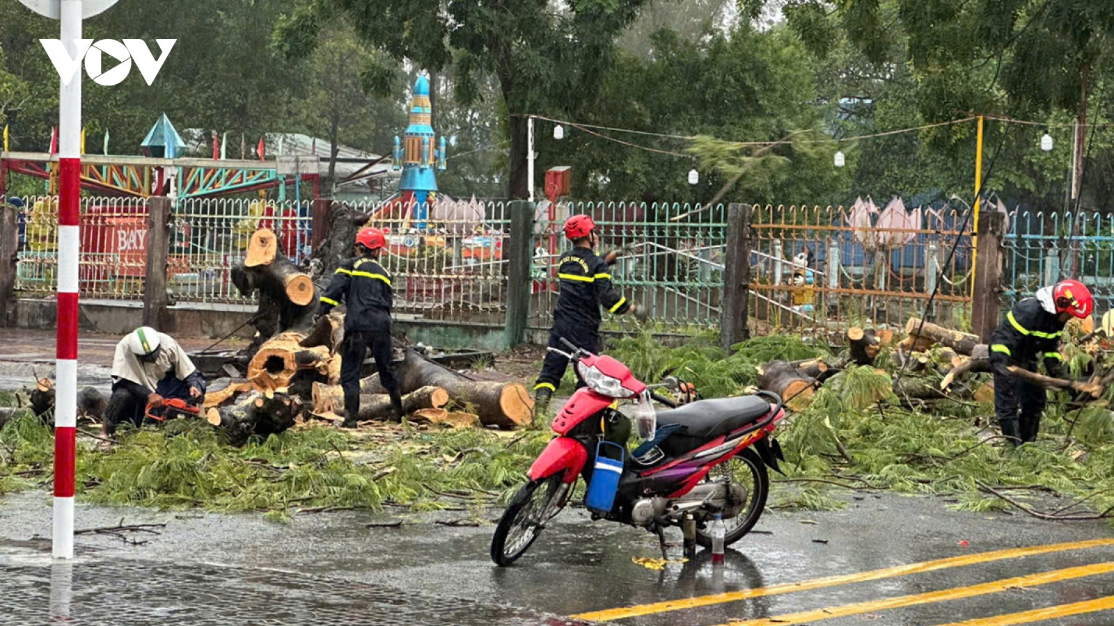 Cây xanh bật gốc làm 2 người đi đường bị thương