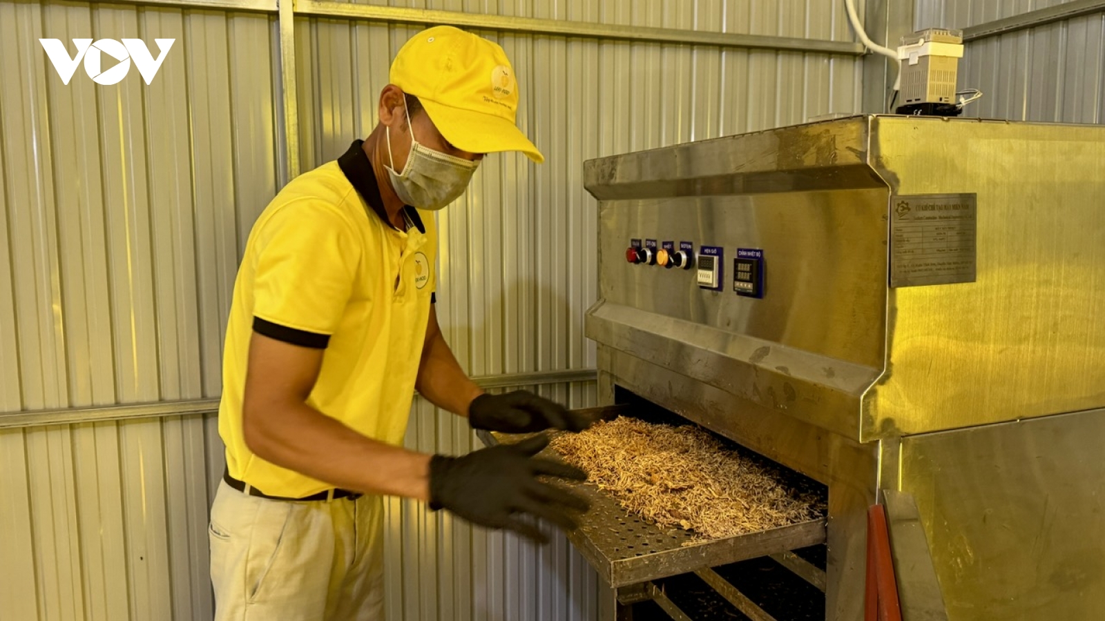 Chế biến sâu, nâng tầm giá trị sản phẩm OCOP