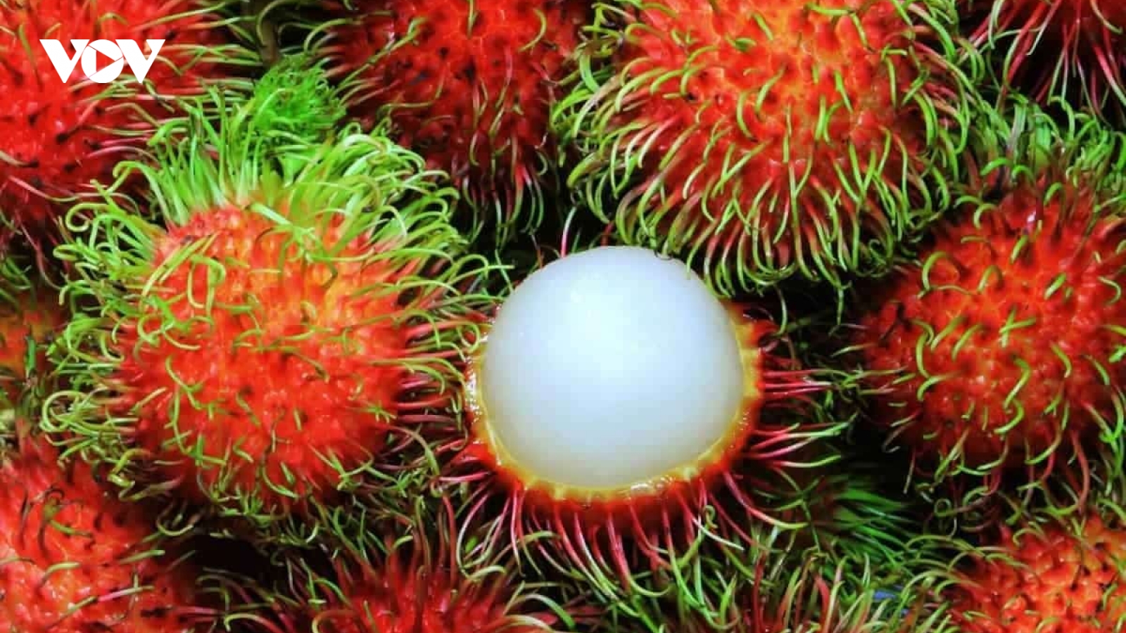 Chôm chôm: Ăn bao nhiêu thì tốt cho sức khỏe?