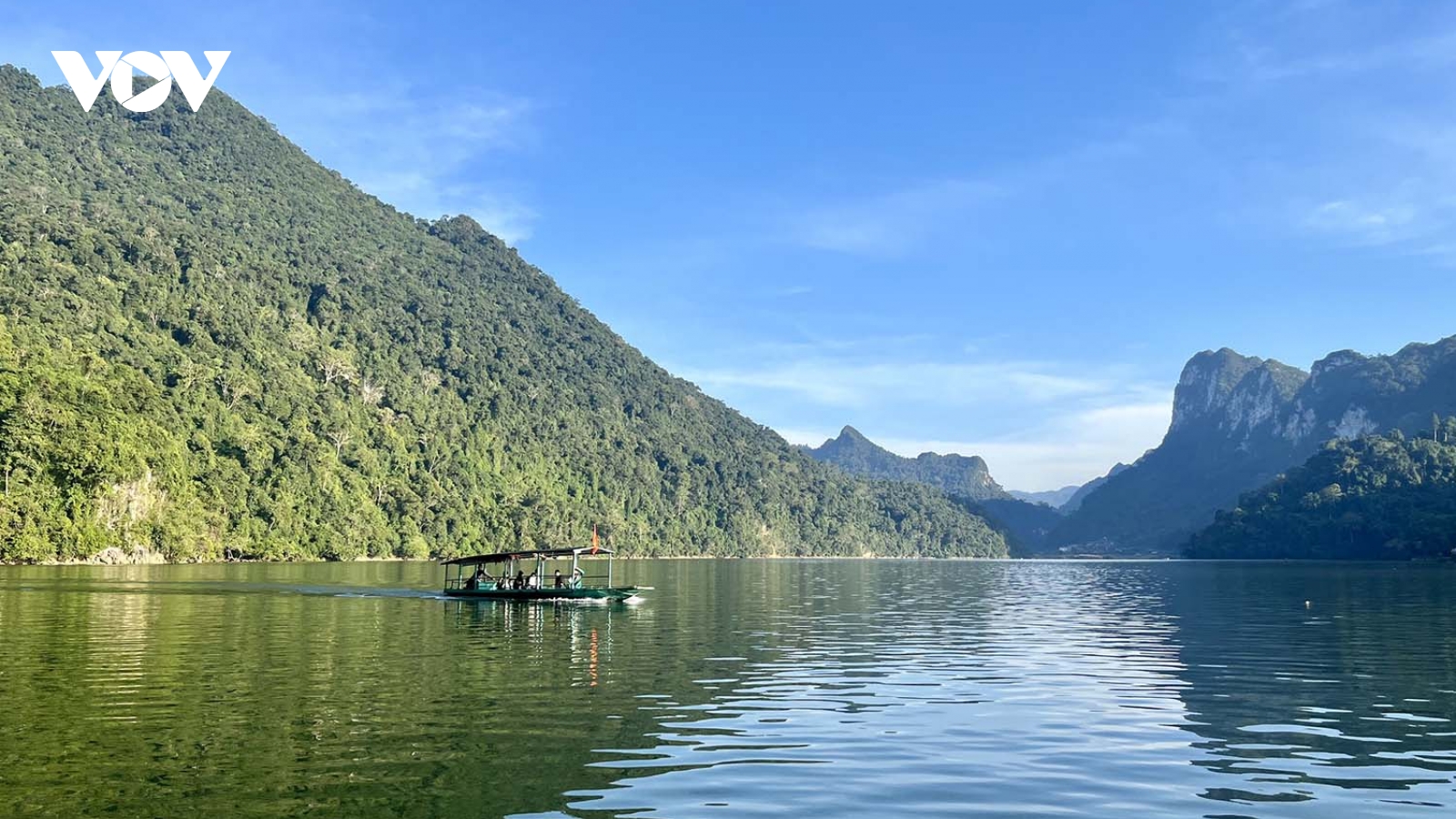 Tạm đình chỉ công tác Giám đốc Vườn quốc gia Ba Bể để điều tra vụ chặt phá gỗ nghiến