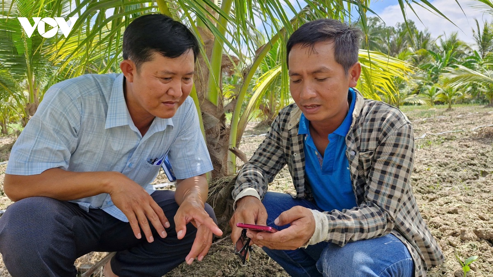Nông dân Khmer chuyển đổi số đưa nông nghiệp lên tầm cao mới