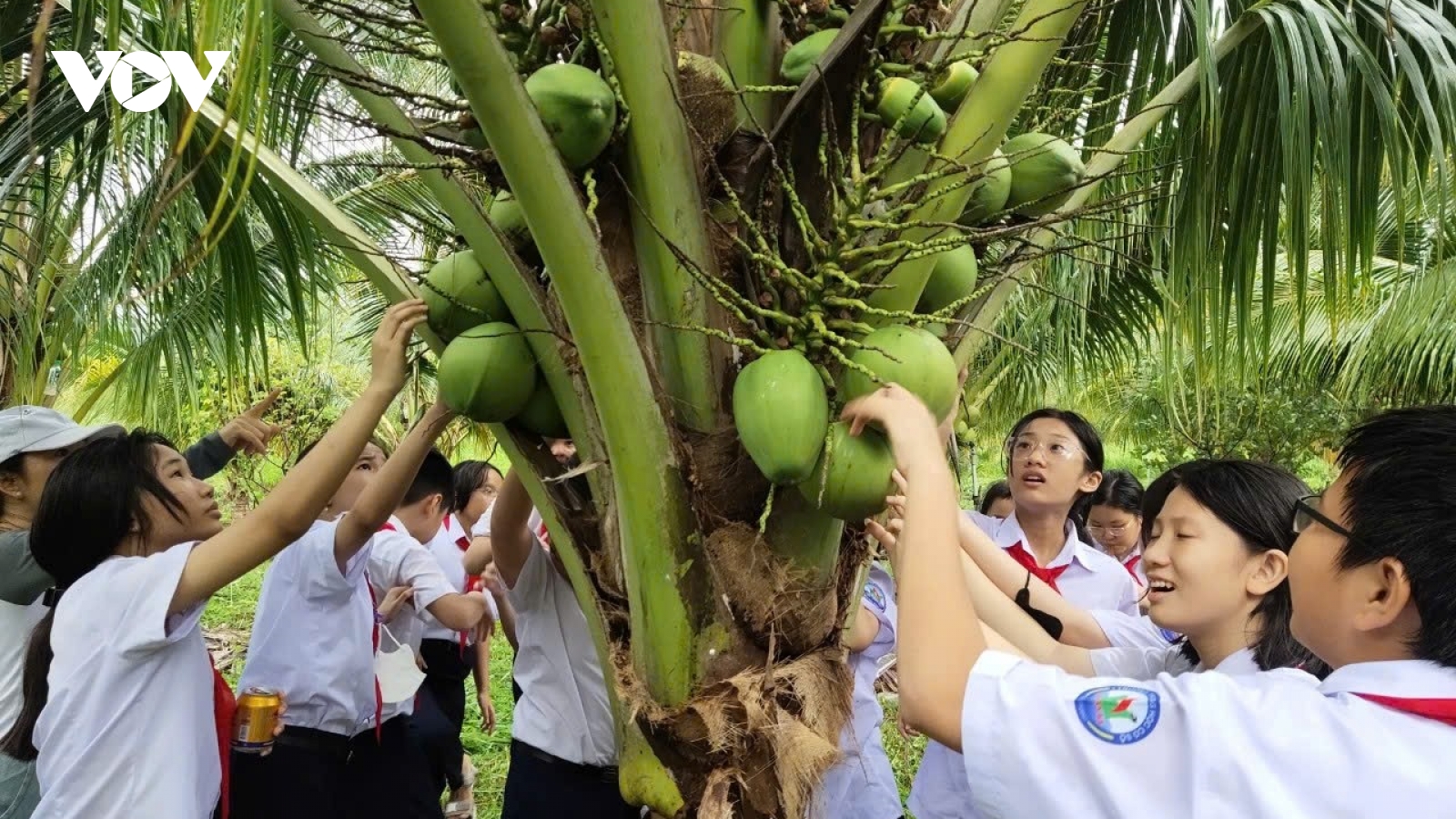 Chuyển đổi số nâng tầm nông sản miền núi Khánh Hòa