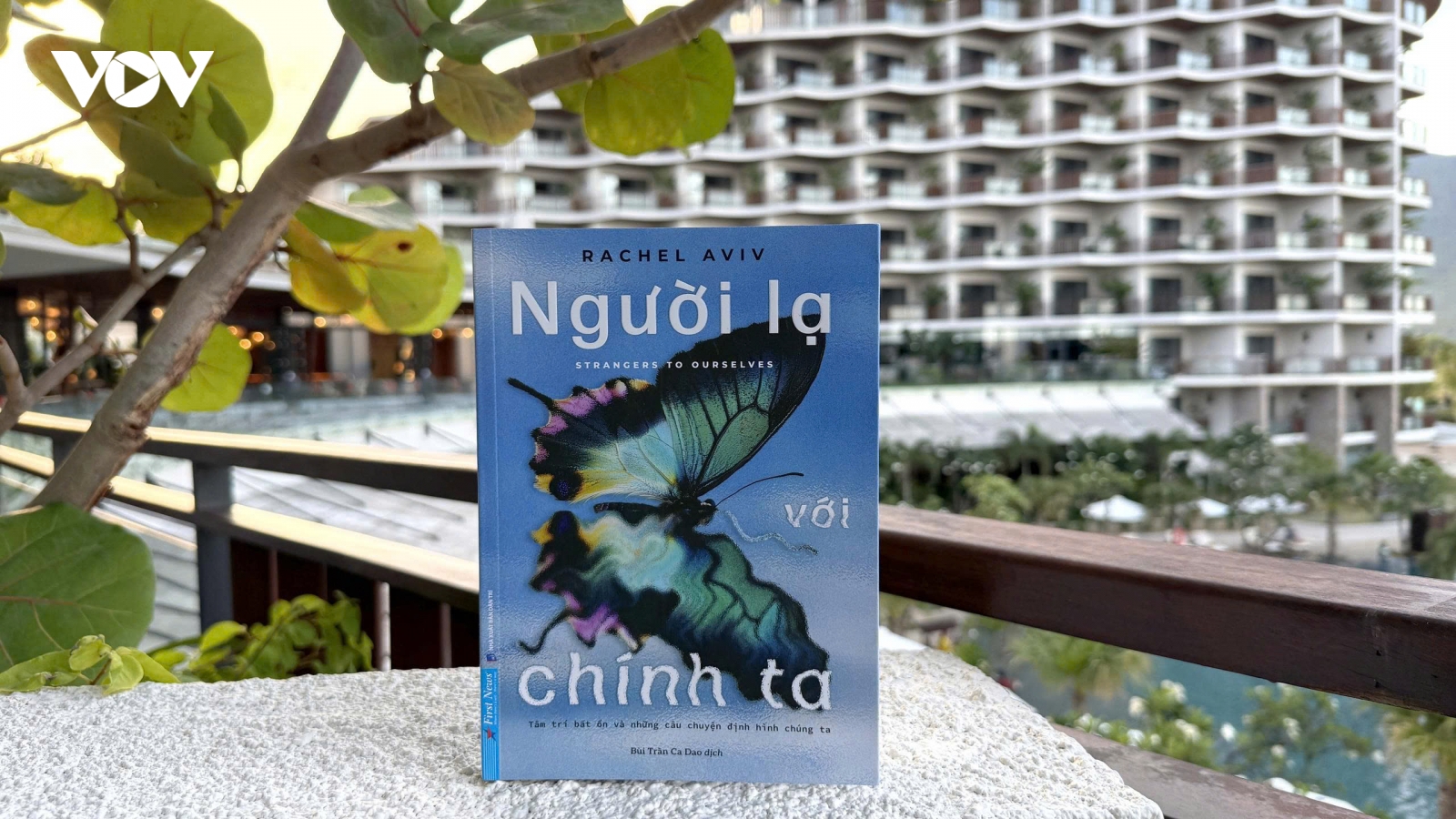 “Người lạ với chính ta”: 6 câu chuyện về hành trình tìm lại bản ngã tinh thần