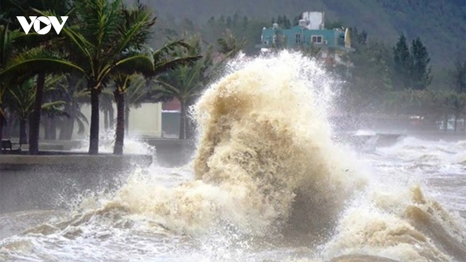 Hàng loạt đê biển trong khu vực trọng tâm bão số 5 đổ bộ có nguy cơ bị tràn