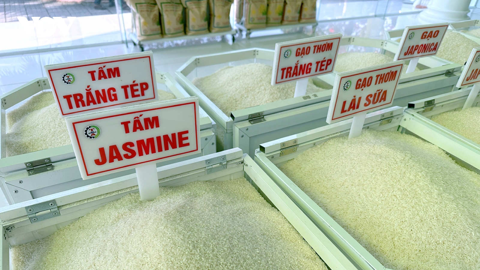 Xuất khẩu gạo Cần Thơ dự kiến đạt 1,8 triệu tấn gạo trong năm nay