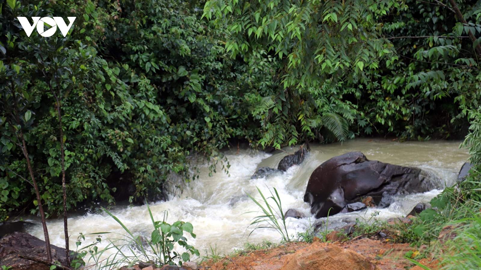 Giải cứu 4 nữ sinh đi chơi suối gặp nước lũ dâng cao ở Lâm Đồng