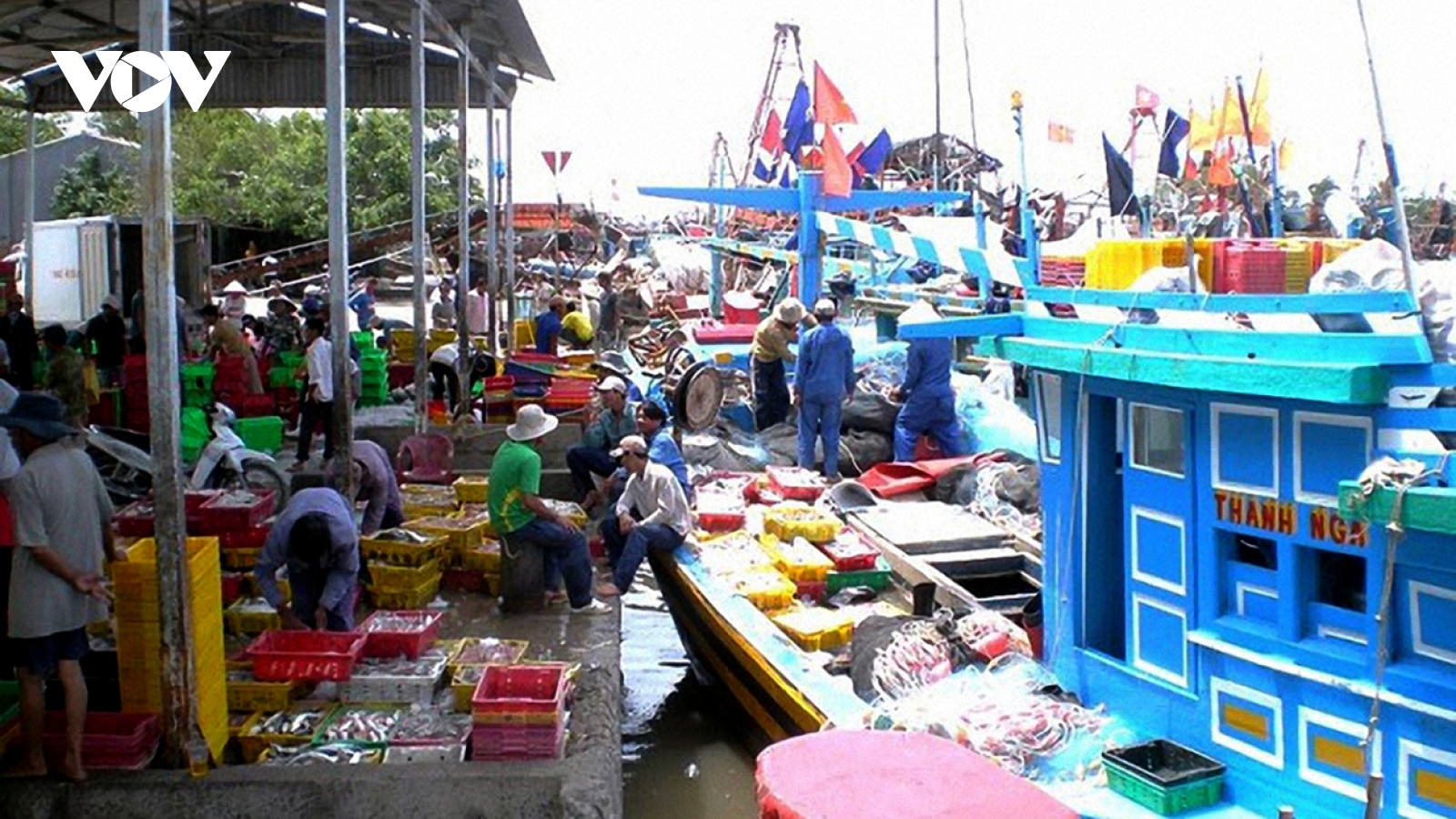 Vĩnh Long ra quân cao điểm xử lý tàu cá “3 không”, phòng chống IUU