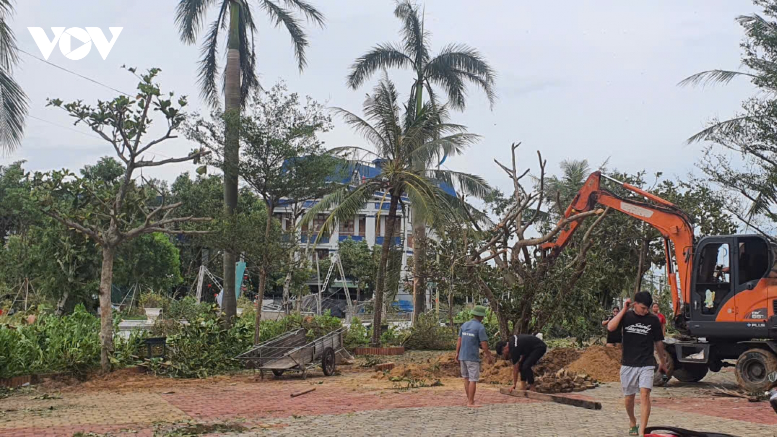 Hà Tĩnh thu dọn cây đổ, mảnh vỡ biển quảng cáo la liệt sau bão số 5