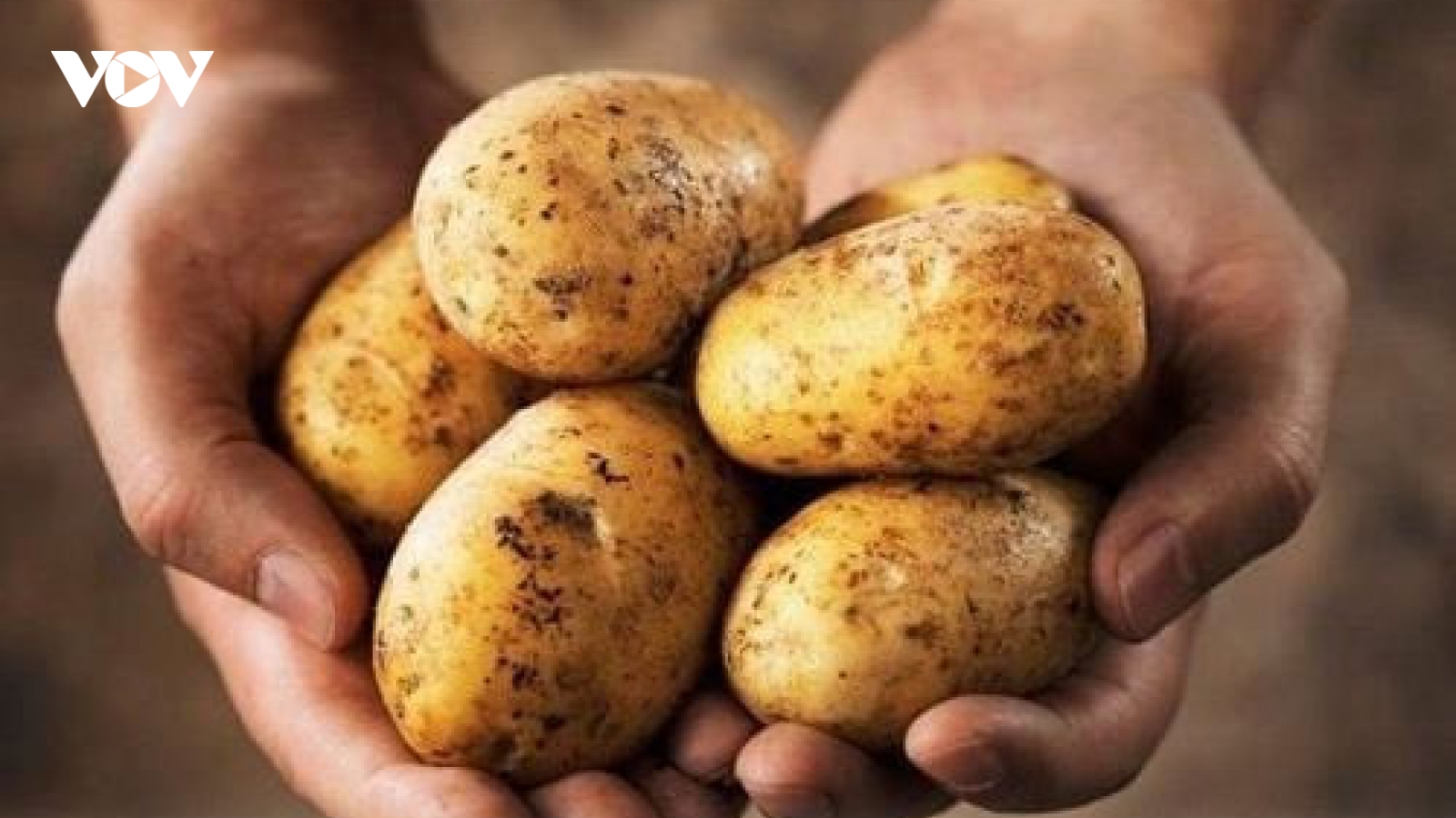 Ăn khoai tây có làm tăng nguy cơ tiểu đường?