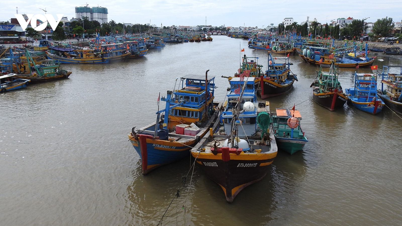 Lâm Đồng tăng cường quản lý khai thác thủy sản biển để gỡ "thẻ vàng" IUU