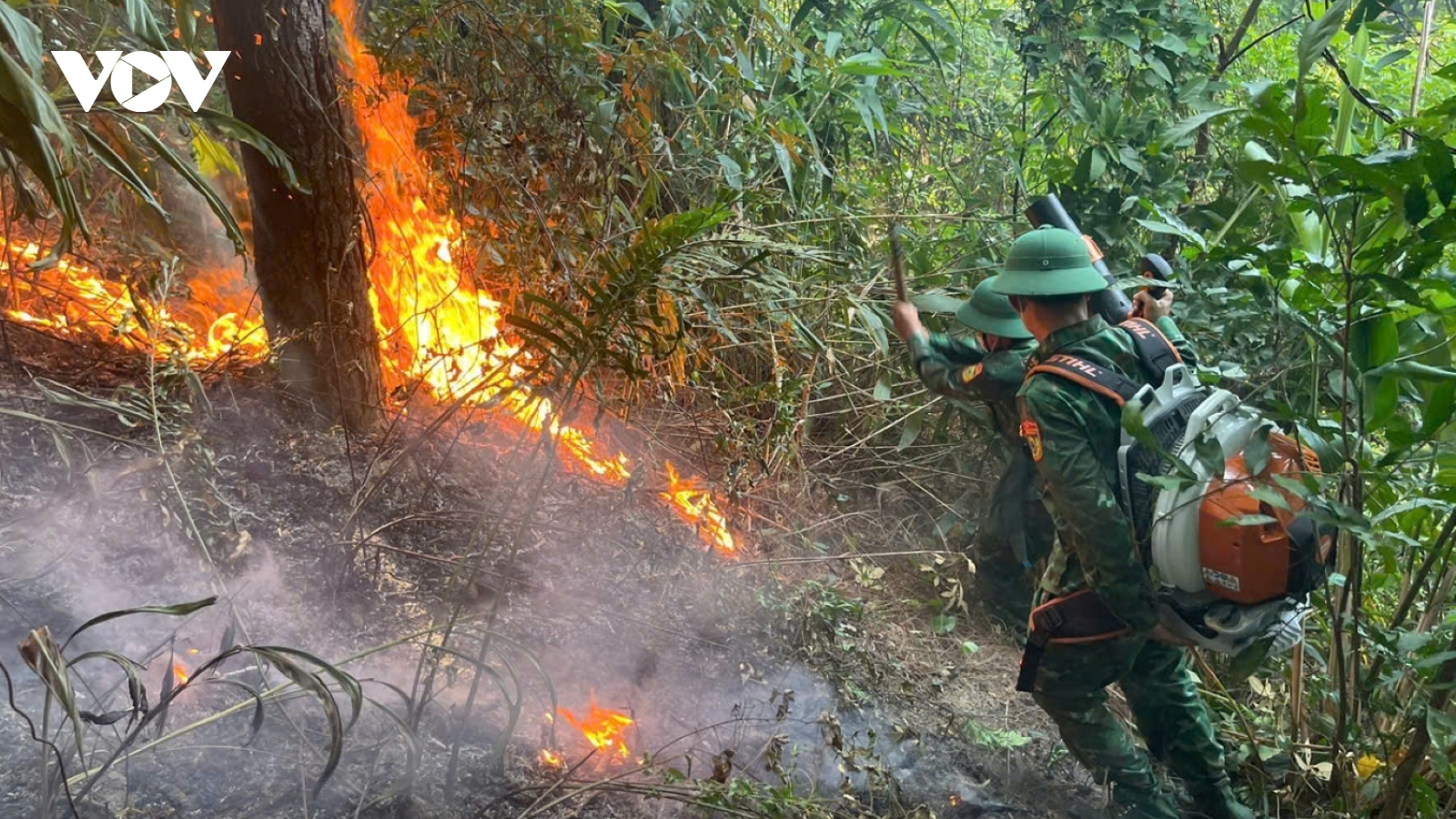 Kịp thời khống chế vụ cháy rừng phòng hộ tại tỉnh Quảng Trị