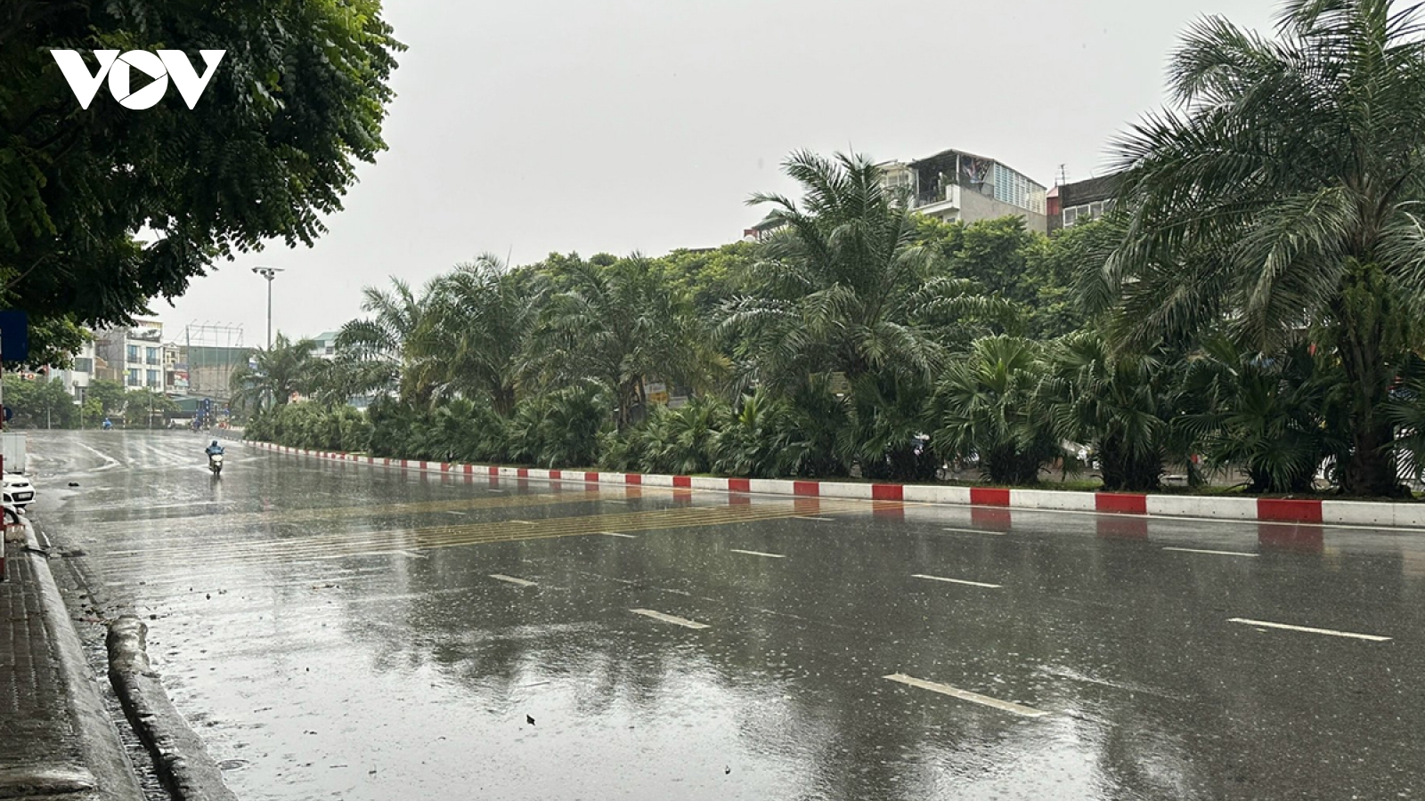 Bão số 5 gây mưa lớn: Thanh Hóa đến Bắc Quảng Trị lượng mưa 400mm, có nơi 600mm