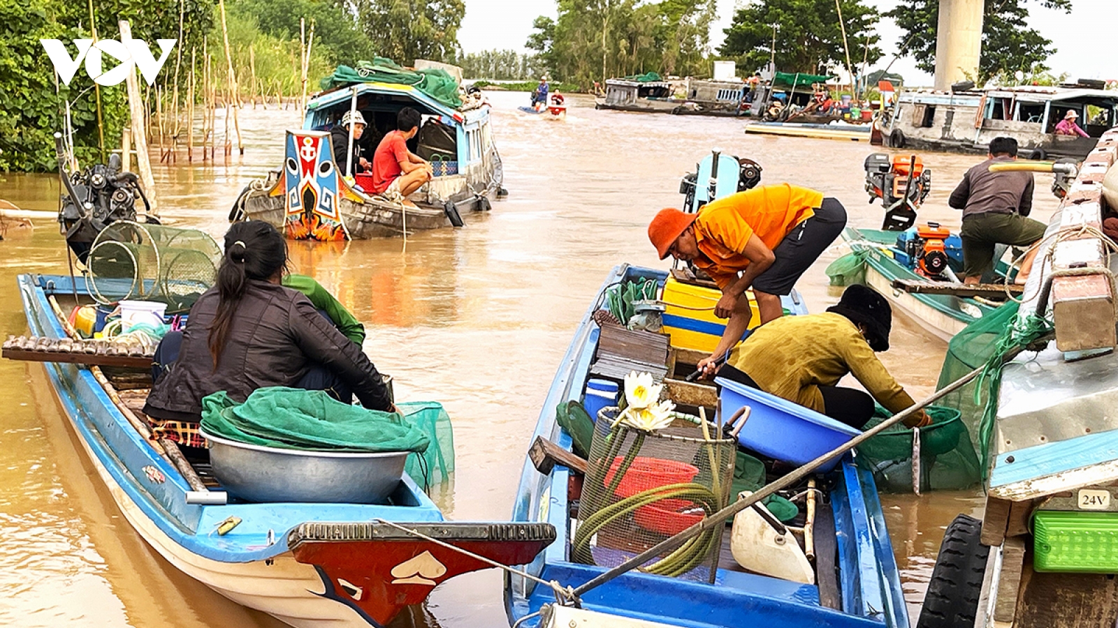 Mùa nước nổi về sớm, người dân đầu nguồn ĐBSCL háo hức nhận "quà tặng của tự nhiên"