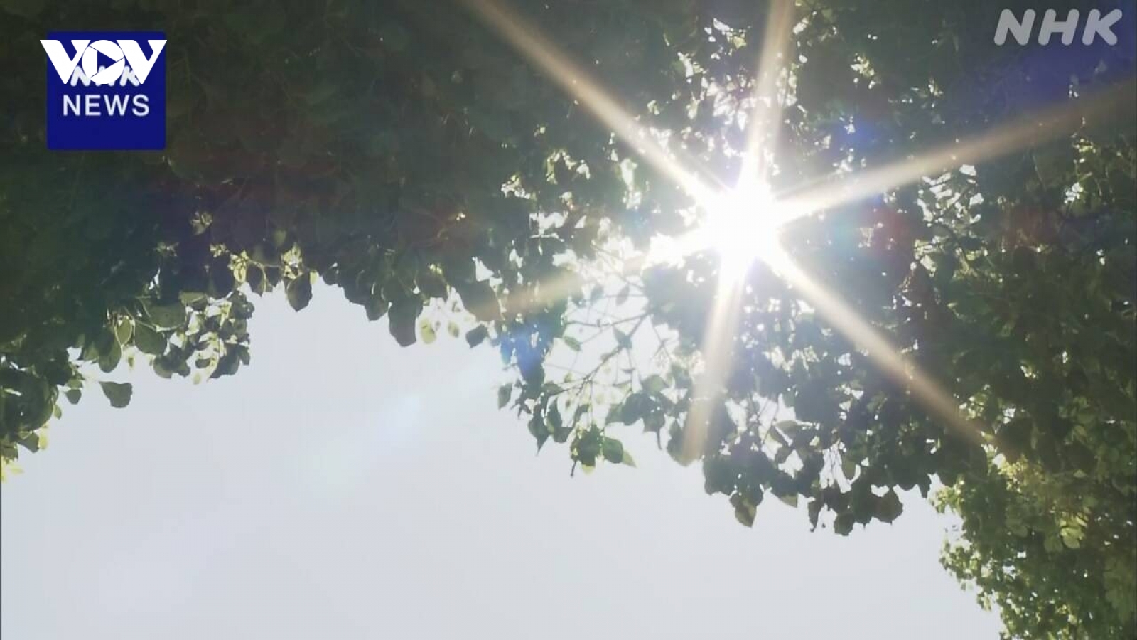 Nắng nóng đe dọa sức khỏe người dân Nhật Bản, cháy rừng bùng phát ở châu Âu