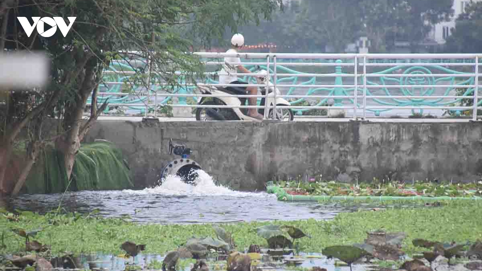 Mở van xả bổ cập nước cho Hồ Tây để "hồi sinh" sông Tô Lịch