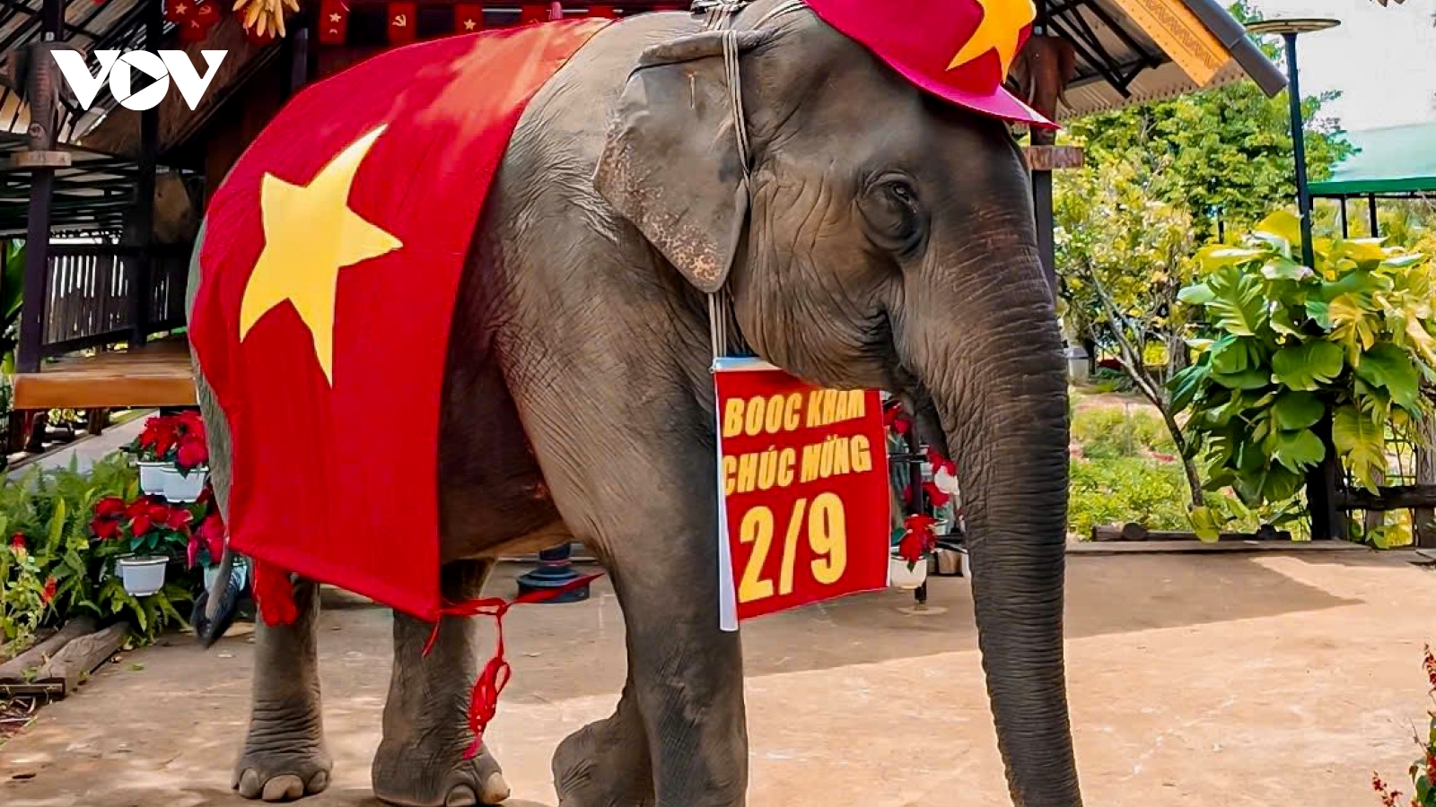 Người dân Đắk Lắk hào hứng ghi lại những khoảnh khắc đẹp dịp Lễ Quốc khánh