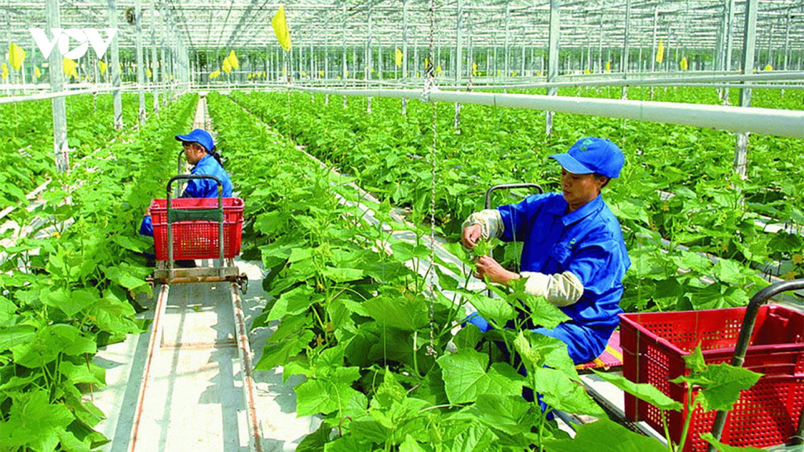 Xu hướng tiêu dùng xanh 2025: Người trẻ ưu tiên sản phẩm thân thiện môi trường
