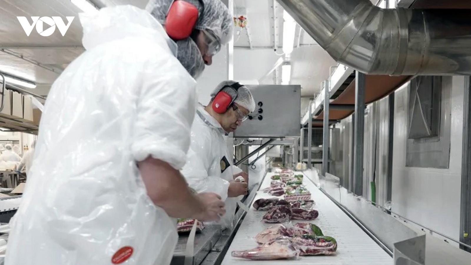 Xuất khẩu vào CPTPP: Doanh nghiệp chưa tận dụng được nguồn lực tổng hợp