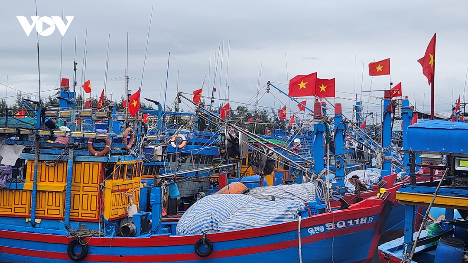 Ngư dân Quảng Ngãi vững tin vươn khơi, nói không với vi phạm IUU