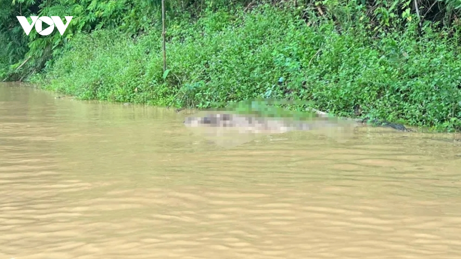 Phát hiện 2 thi thể ở Nghệ An sau bão số 5