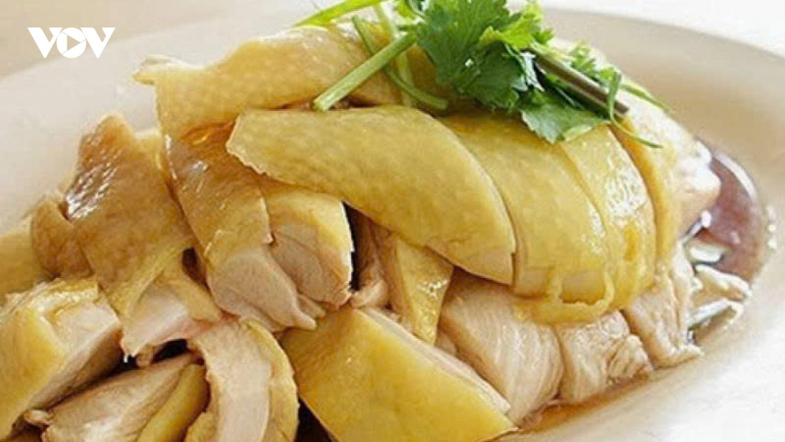 Người bị bệnh gout có ăn được thịt gà không?