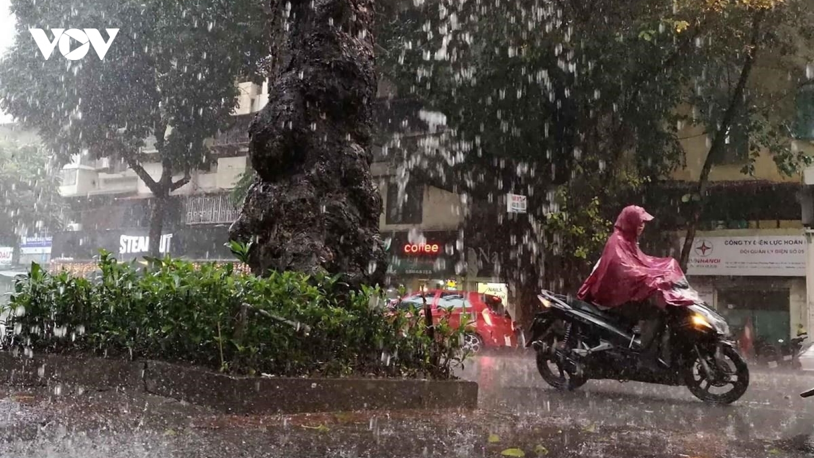 Thời tiết hôm nay 15/8: Bắc Bộ và Thanh Hóa có mưa rào và dông rải rác