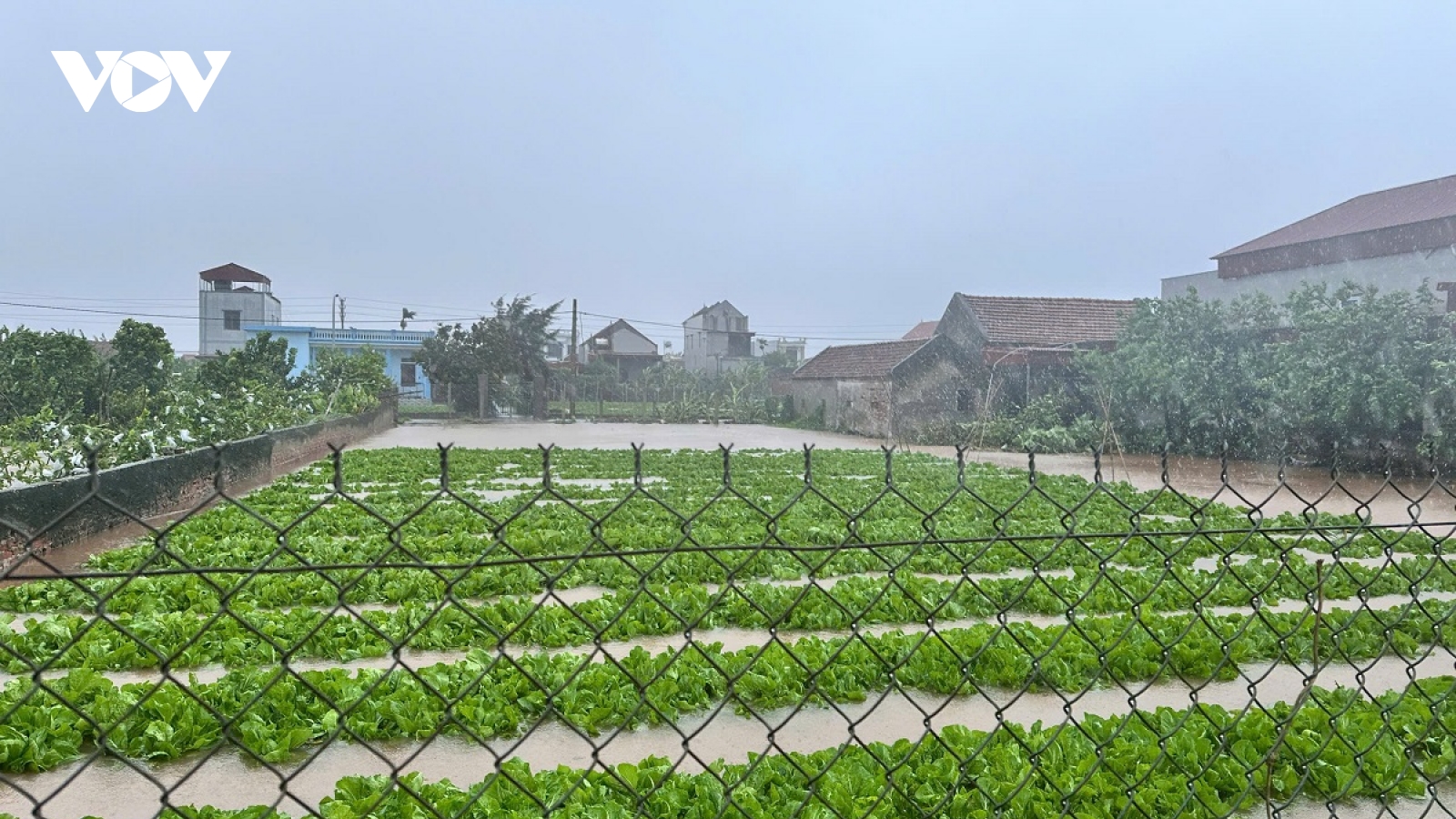 Cảnh báo mưa lớn, ngập úng và sạt lở đất tại Bắc Bộ từ 4–7/8