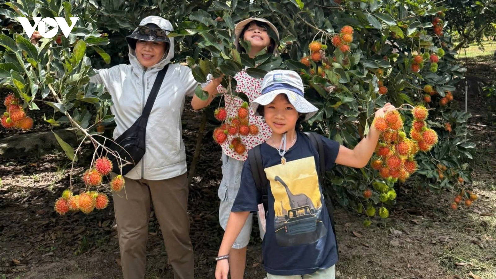 Du lịch cộng đồng Khánh Hòa khai thác tiềm năng rừng và vườn quả