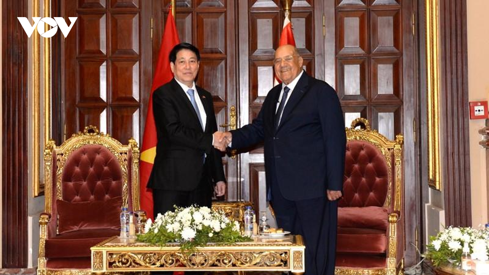 Chủ tịch nước Lương Cường hội kiến Chủ tịch Thượng viện Ai Cập