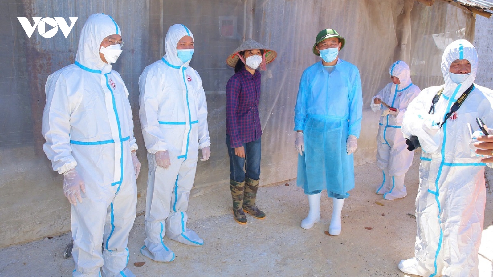 Thứ trưởng Phùng Đức Tiến họp khẩn với nhiều tỉnh về dịch tả lợn Châu Phi