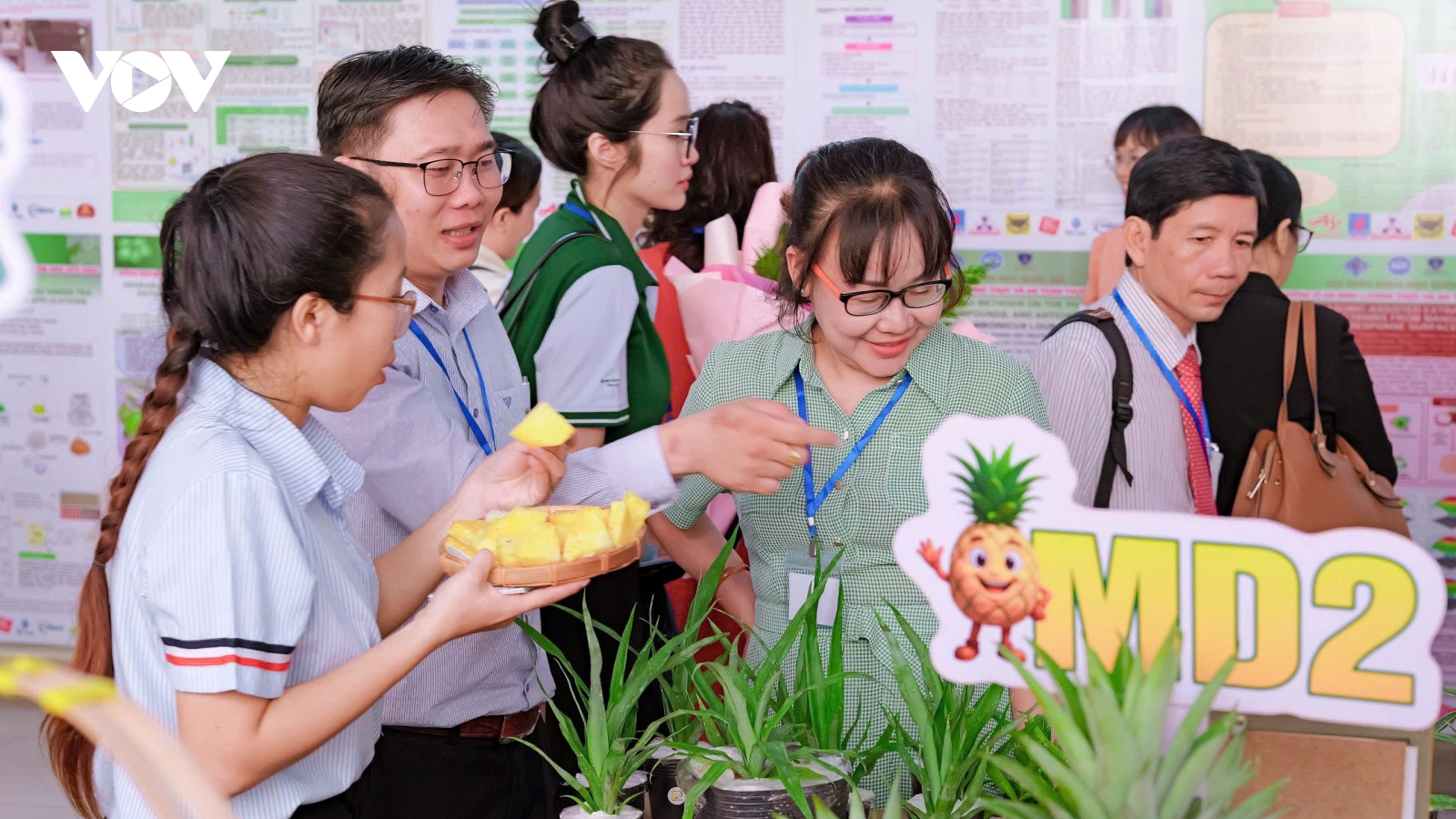 HTX công nghệ cao Kim Phát (Đồng Tháp) góp phần xây dựng mô hình sản xuất tiên tiến