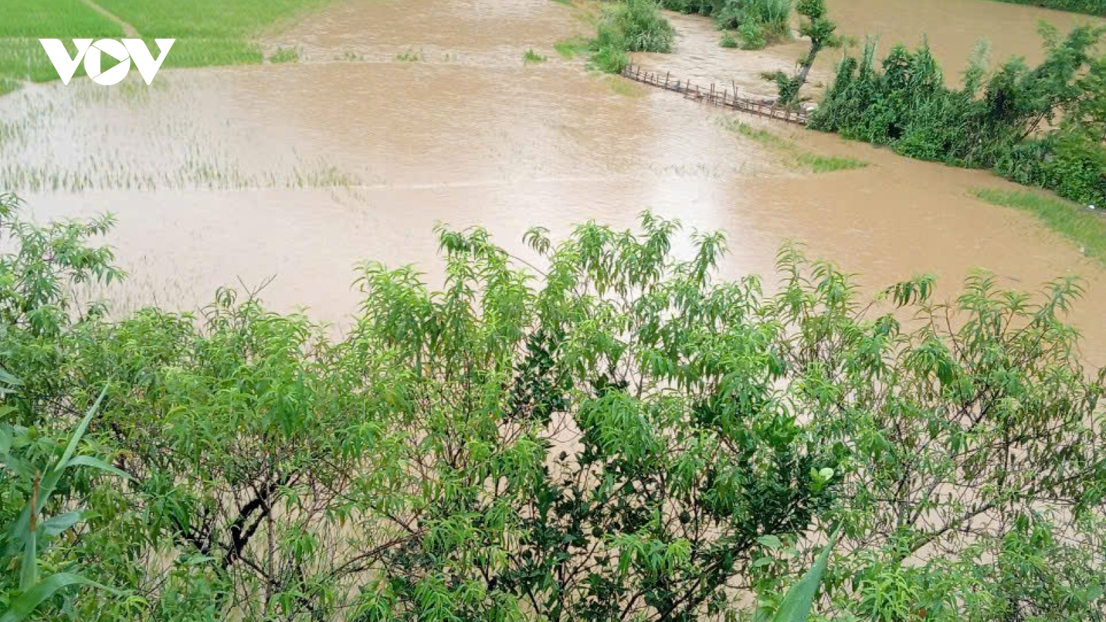 Mưa lũ ở Sơn La gây sạt lở, tốc mái hàng chục ngôi nhà, nhiều diện tích hoa màu bị hư hại