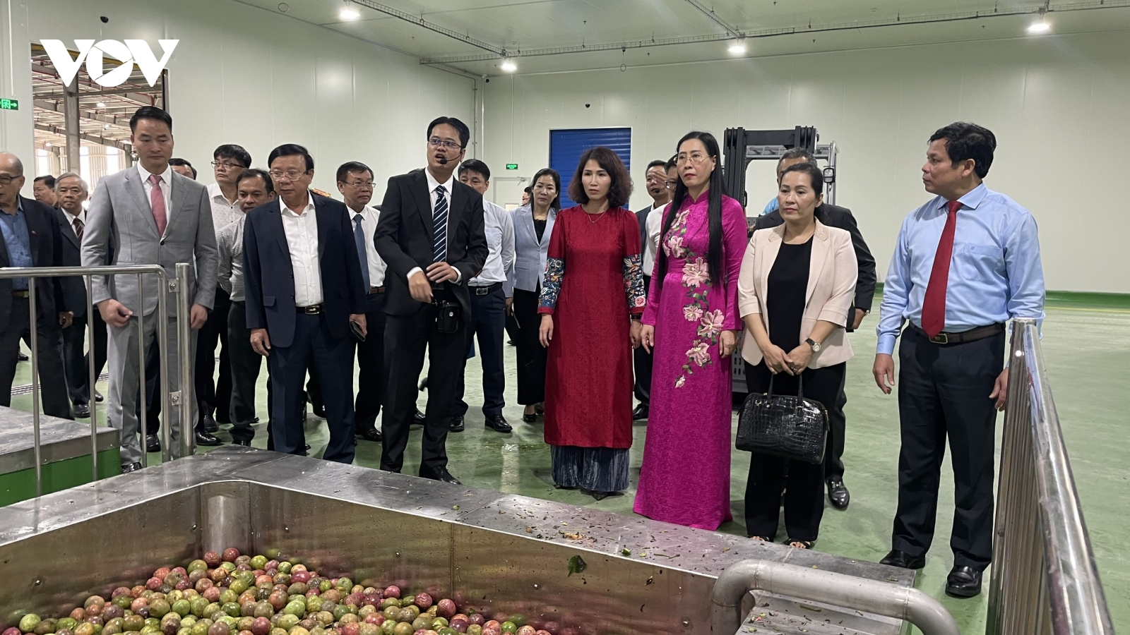 Khánh thành nhà máy chế biến nông sản và dược liệu 500 tỷ đồng tại Quảng Ngãi