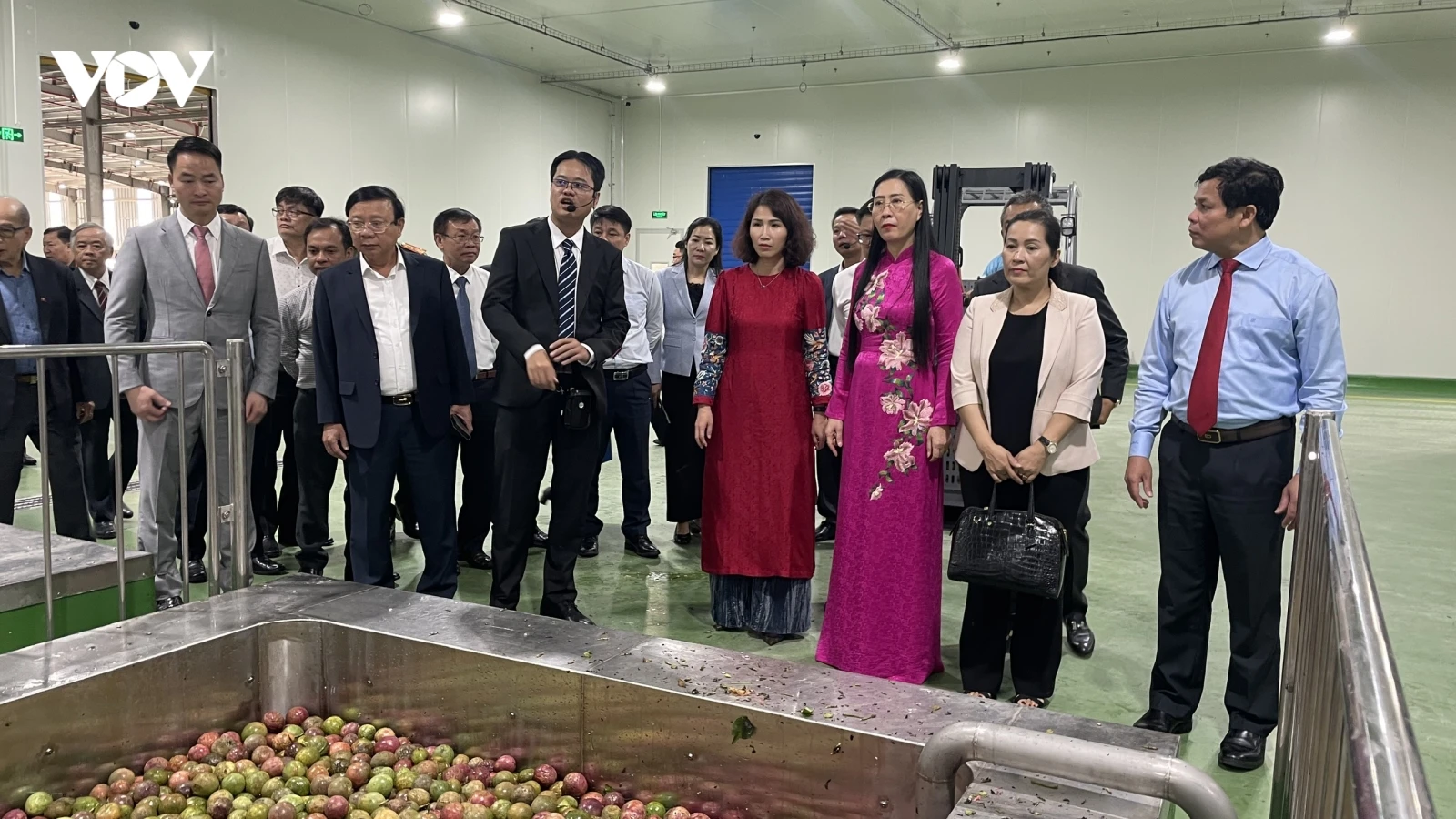 Khánh thành nhà máy chế biến nông sản và dược liệu 500 tỷ đồng tại Quảng Ngãi