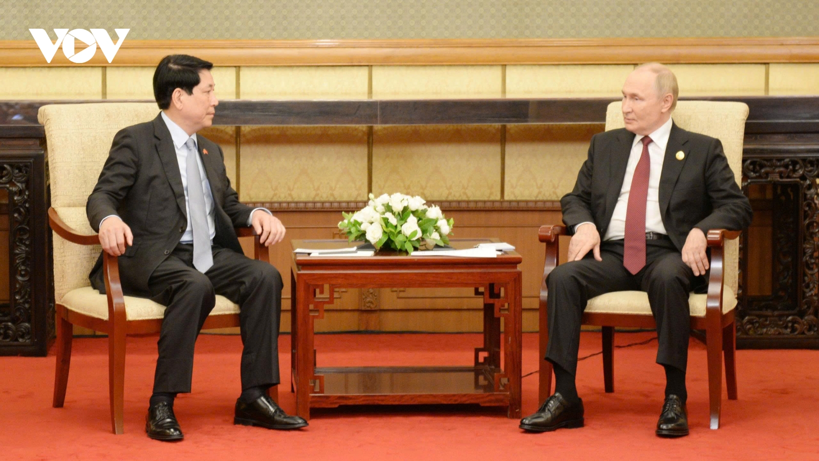 Chủ tịch nước Lương Cường hội kiến Tổng thống Nga Vladimir Putin