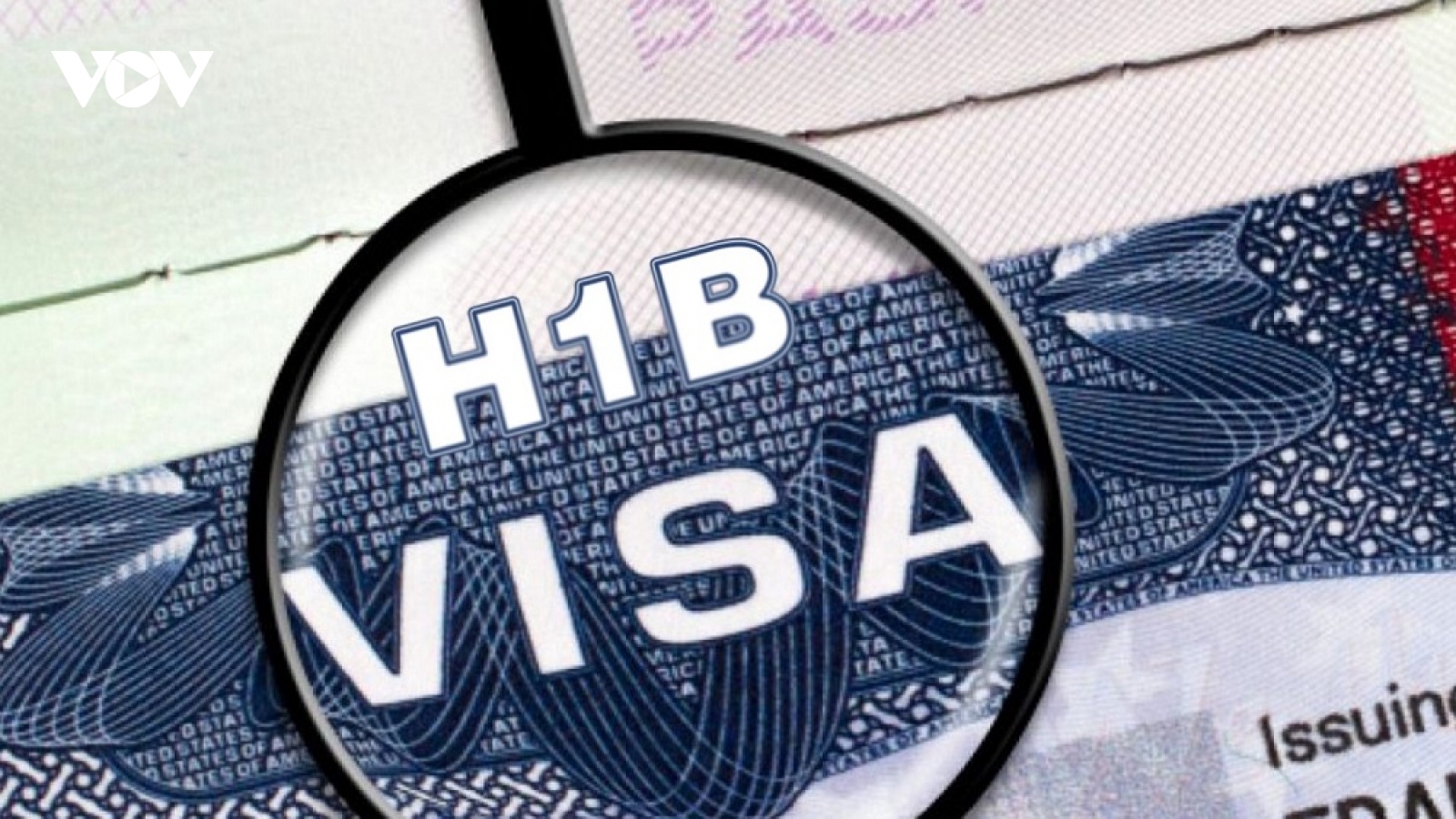 Tranh cãi nảy lửa sau lần "đổi giọng" của ông Trump về thị thực H-1B
