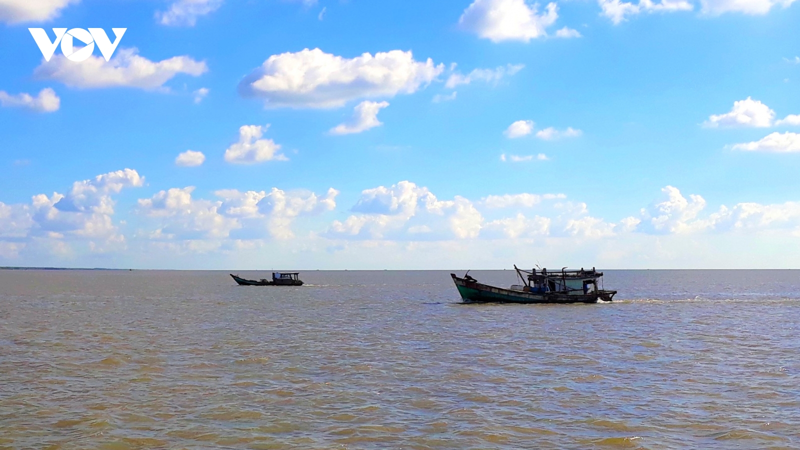 Cà Mau tăng cường quản lý chất lượng thủy sản