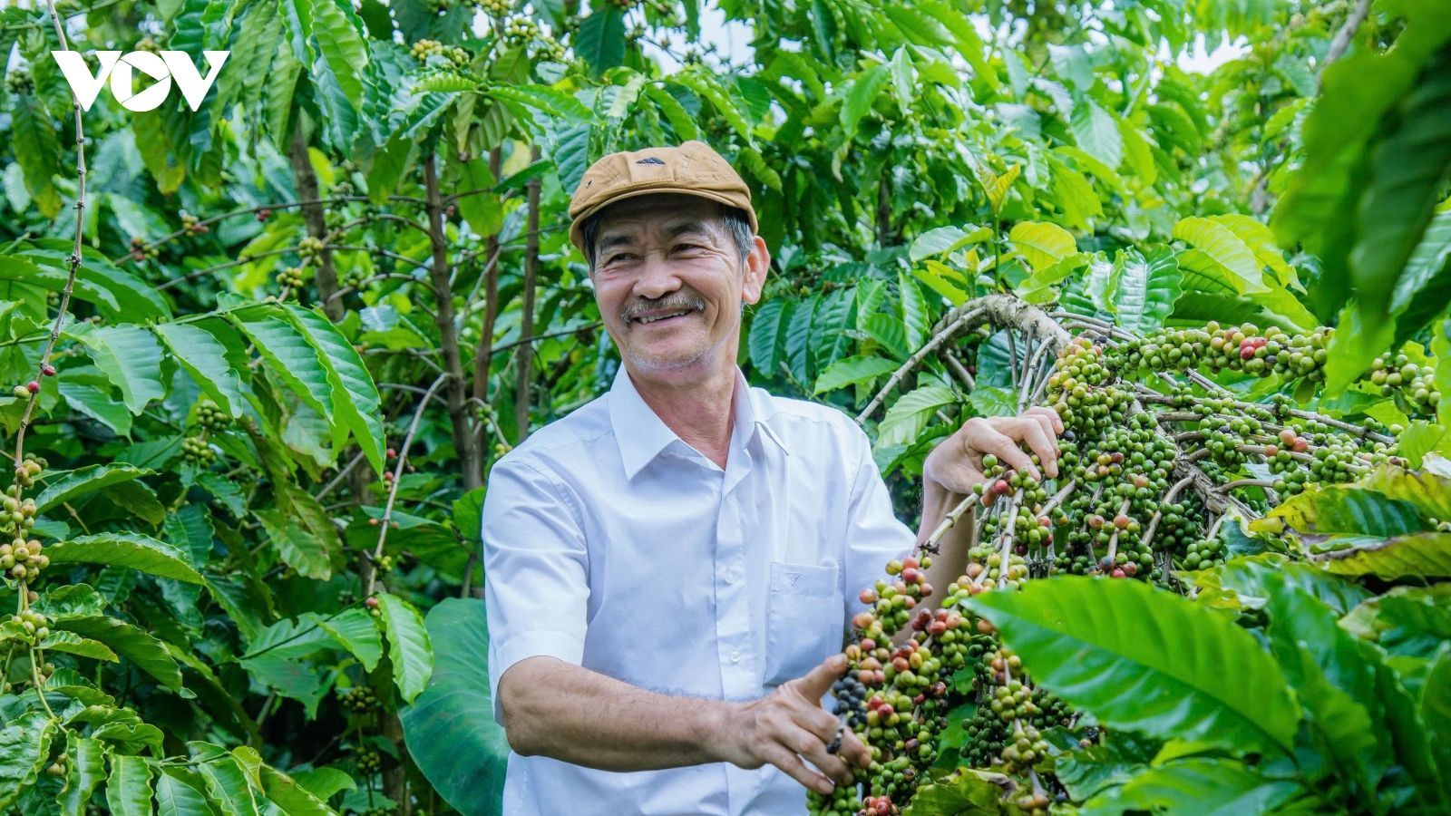 Ông giáo về hưu và hành trình trở thành nông dân xuất sắc Việt Nam