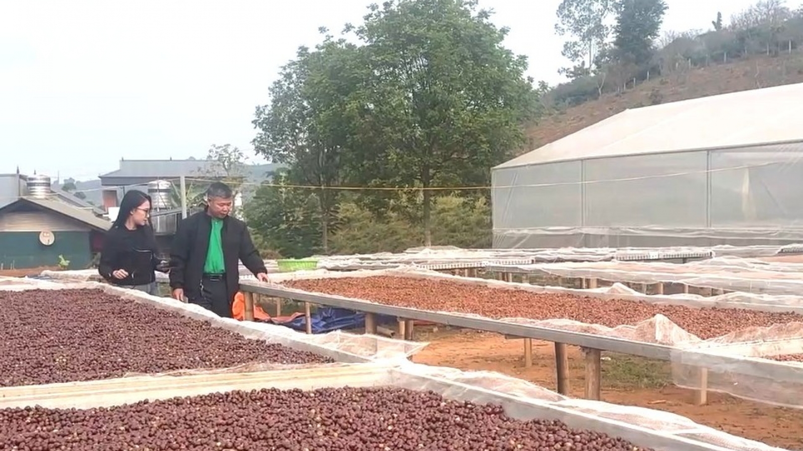 Nông dân Sơn La thay đổi cách nghĩ, cách làm để đưa nông sản vươn xa
