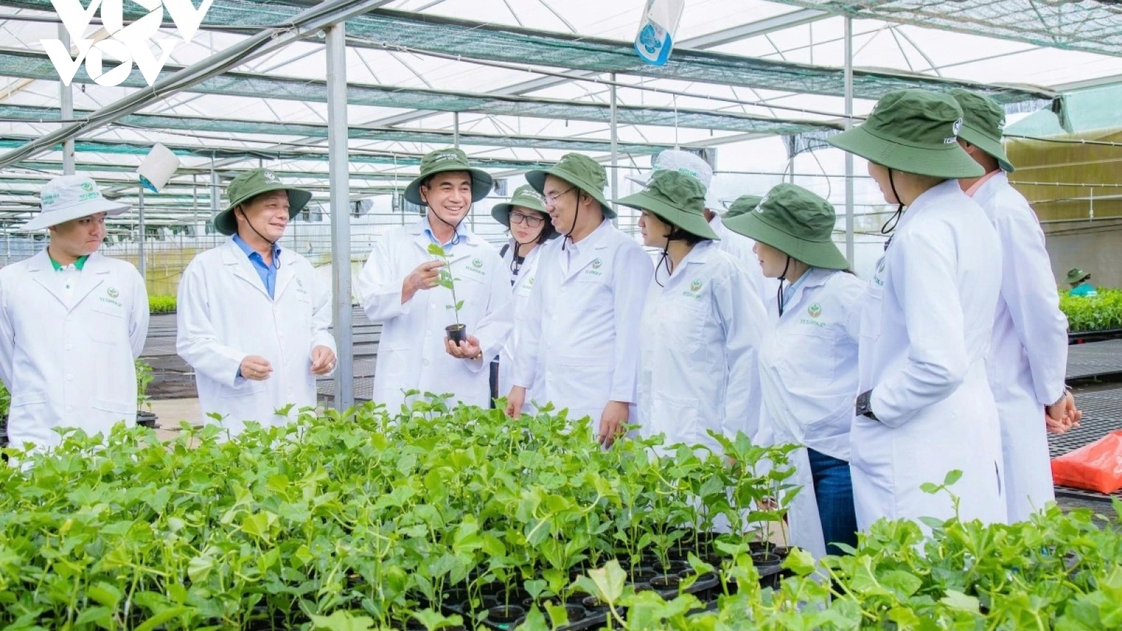 Giải "bài toán" liên kết thị trường và ổn định chuỗi cung ứng