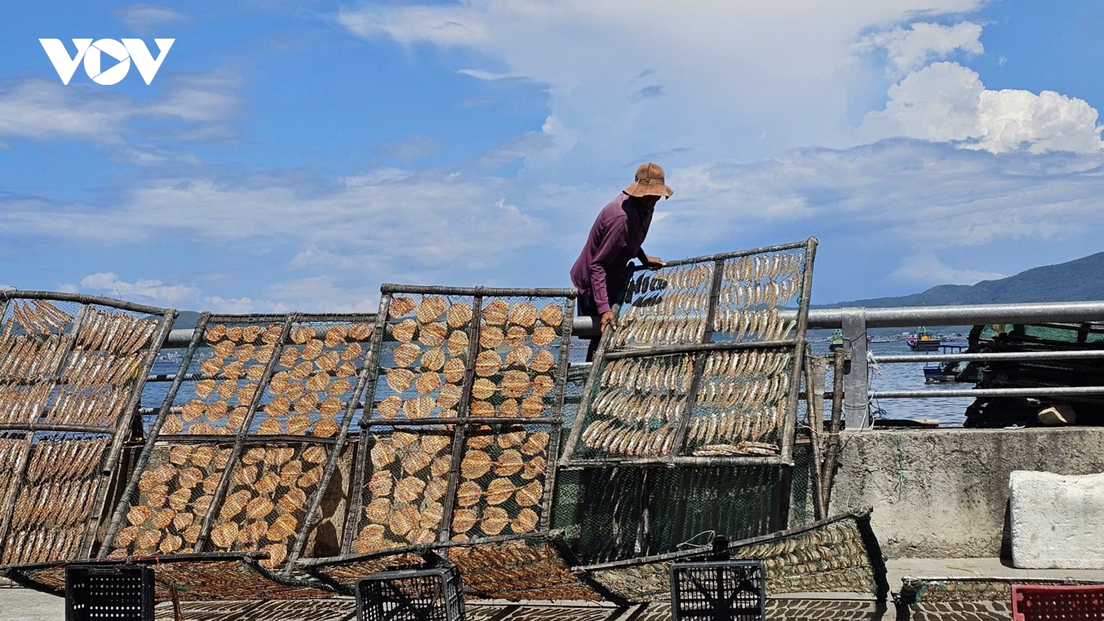 Nghề phơi cá khô của người dân ven cảng Dân Phước