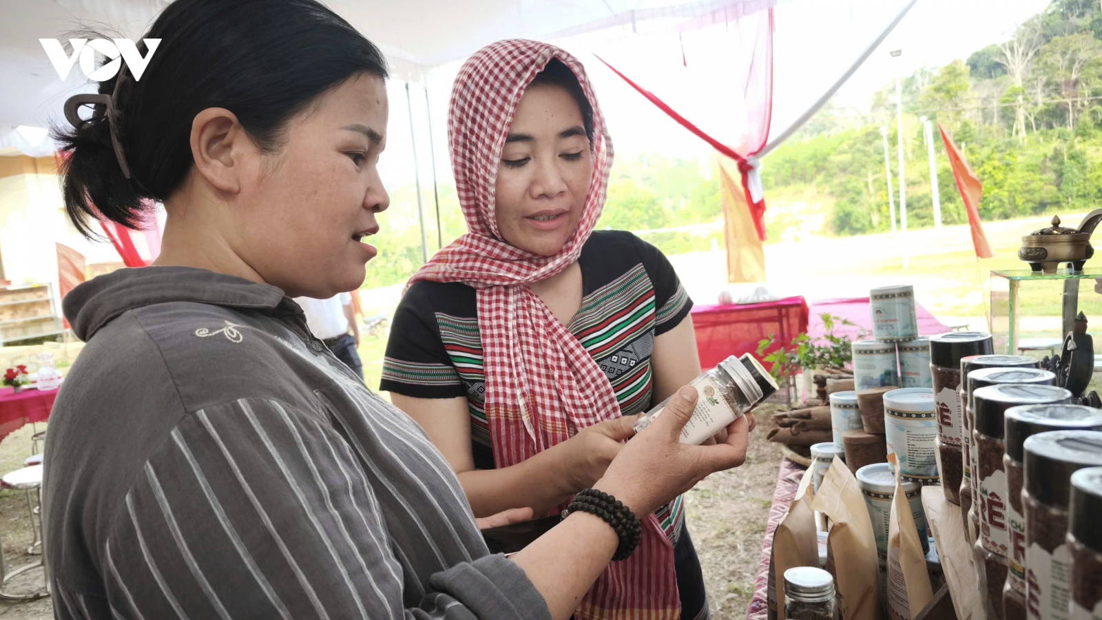 Hương quế thức giấc ở Cổng Trời