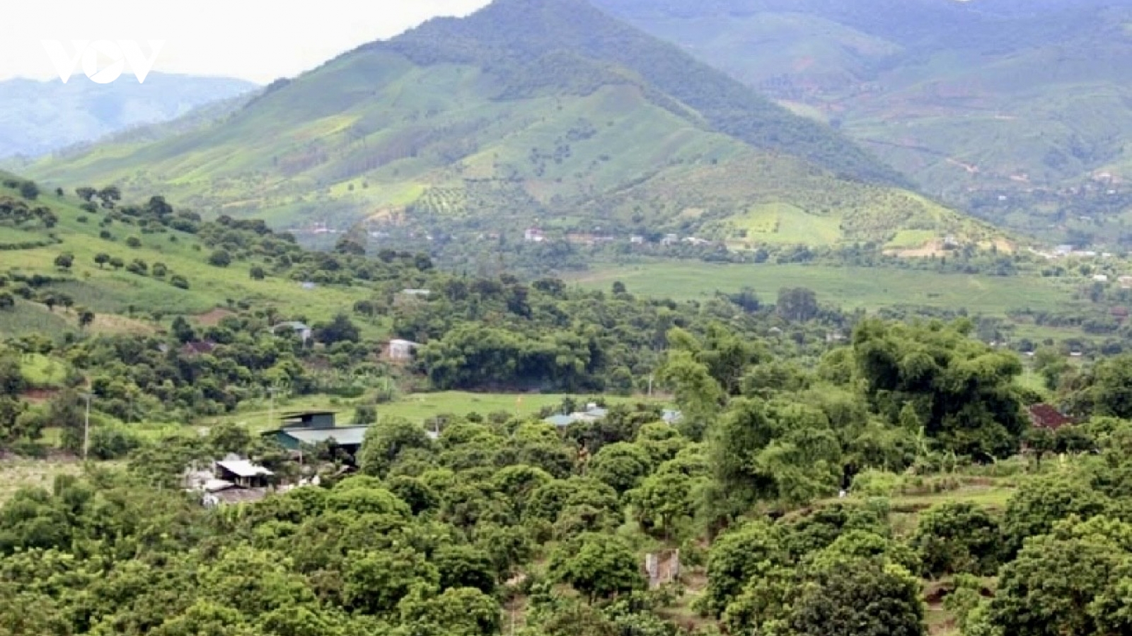 Thi đua làm nông nghiệp sạch, hữu cơ ở Sơn La